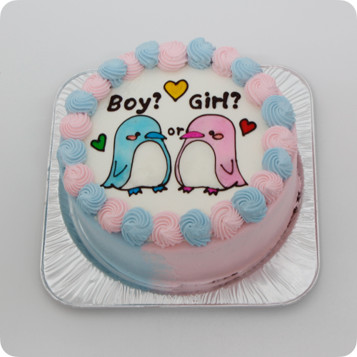 ジェンダーリビールケーキ【10号・30cm／20人様~用】
